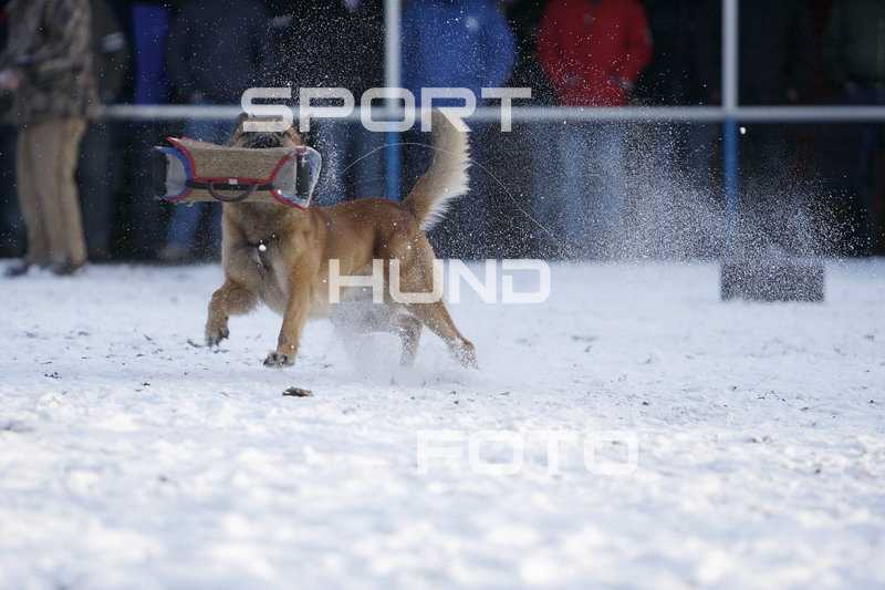 img_0098.jpg