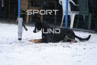 img_0115.jpg