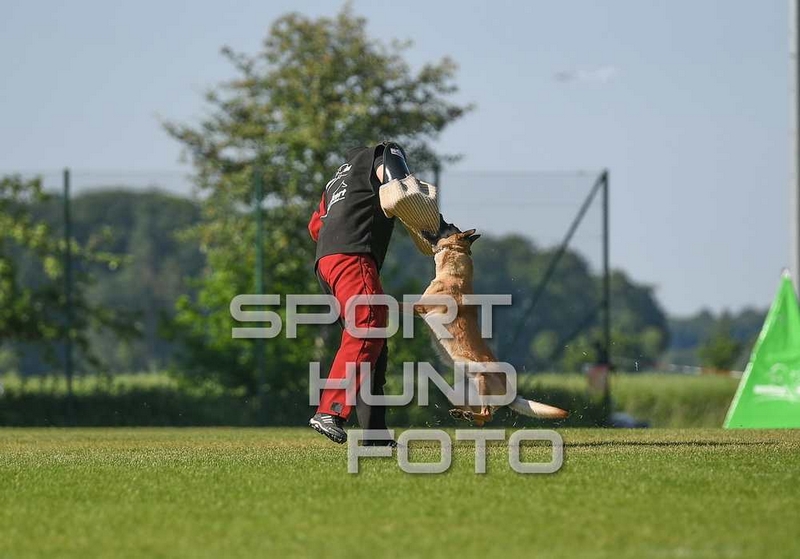43_c_114.jpg