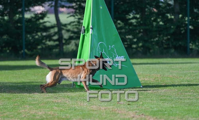 51_c_013.jpg