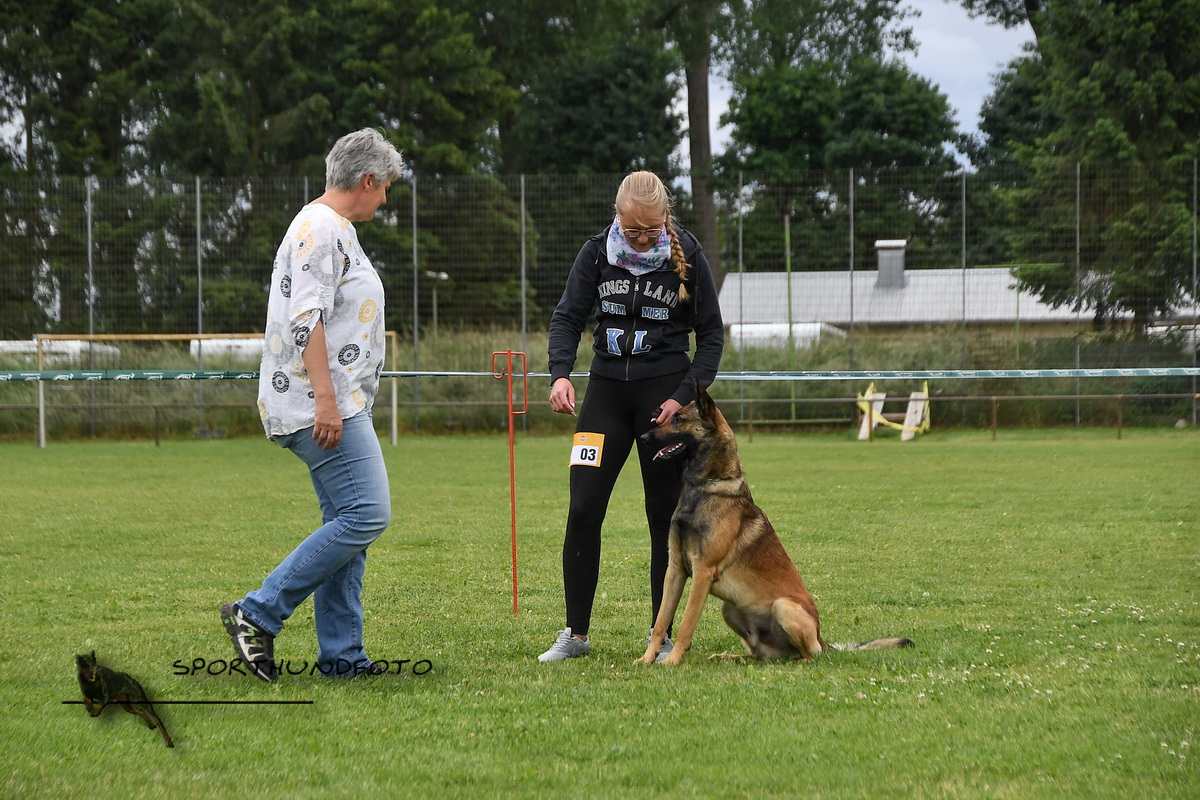 schau_044.jpg