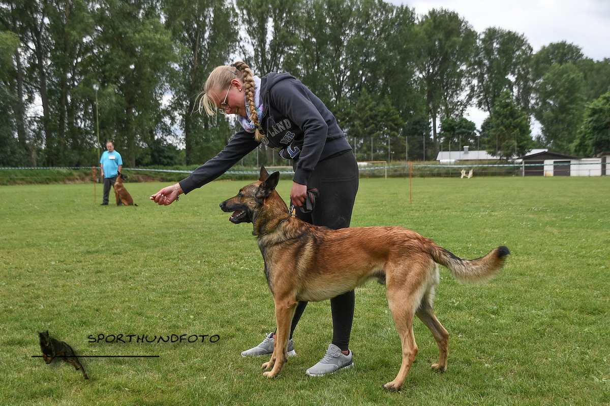 schau_080.jpg