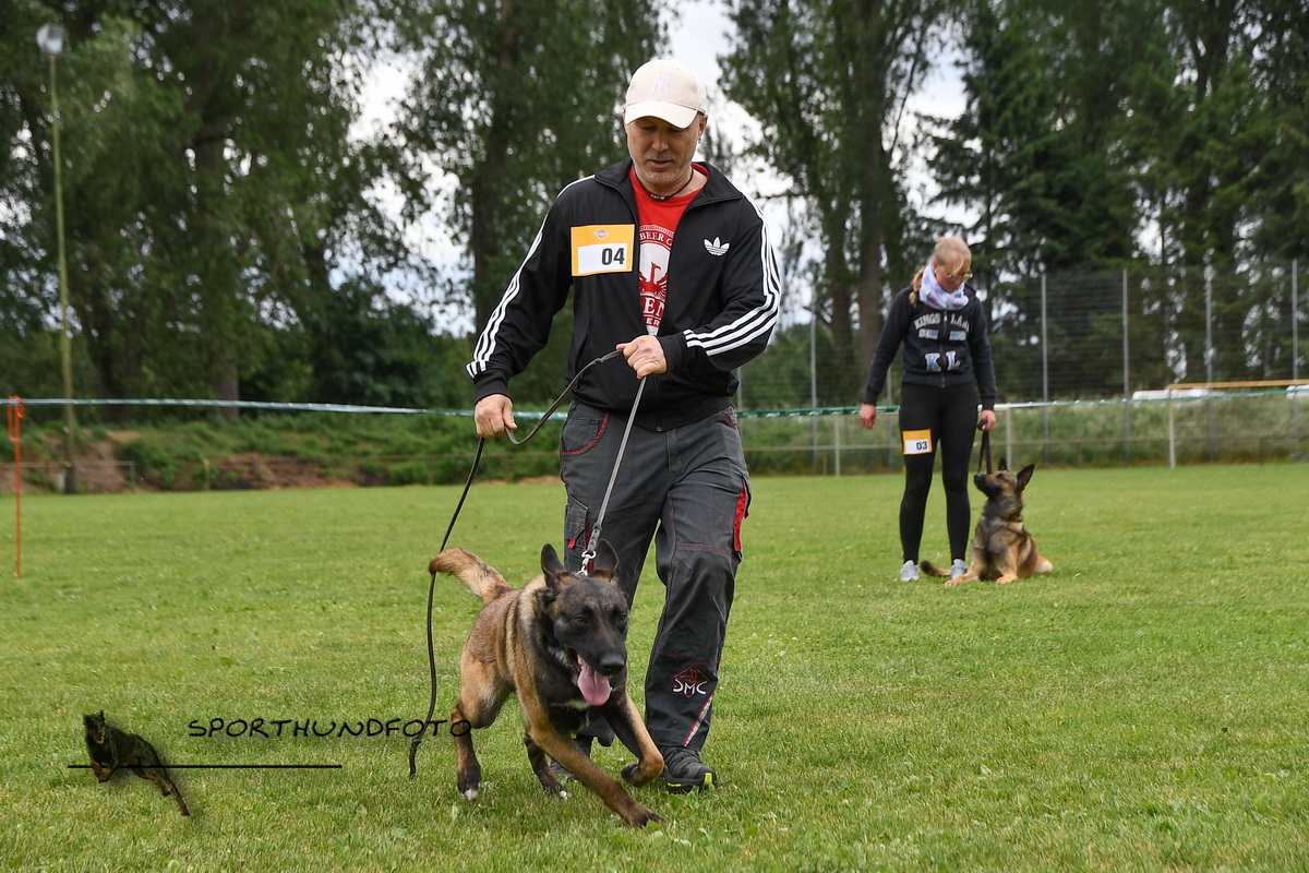 schau_119.jpg