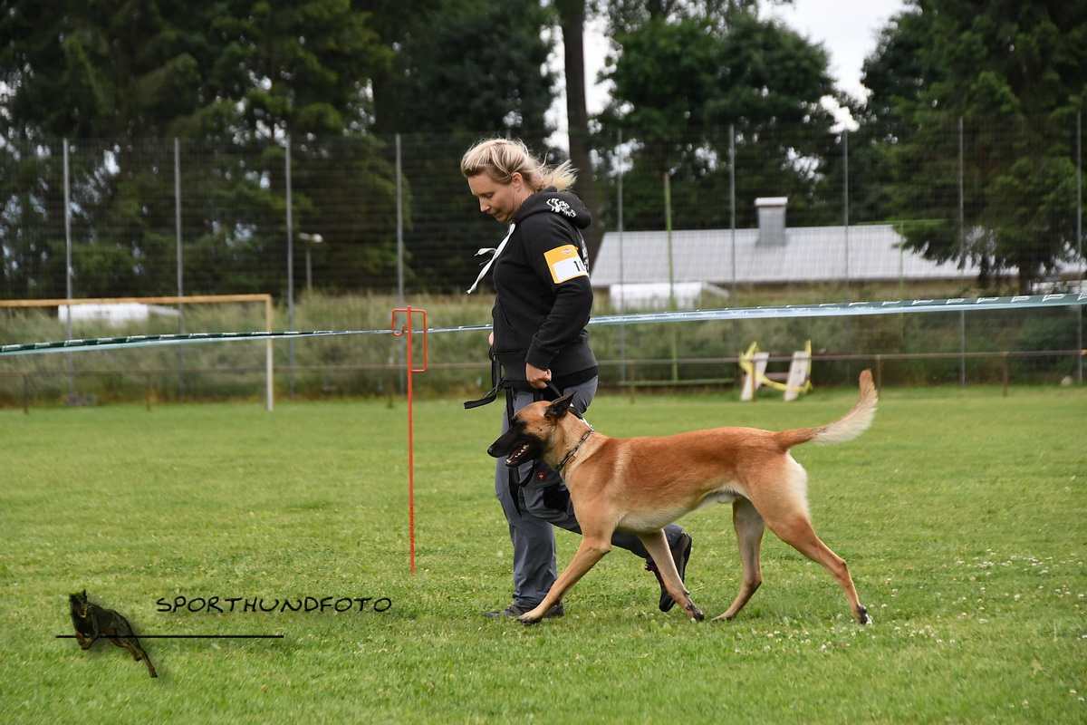 schau_234.jpg