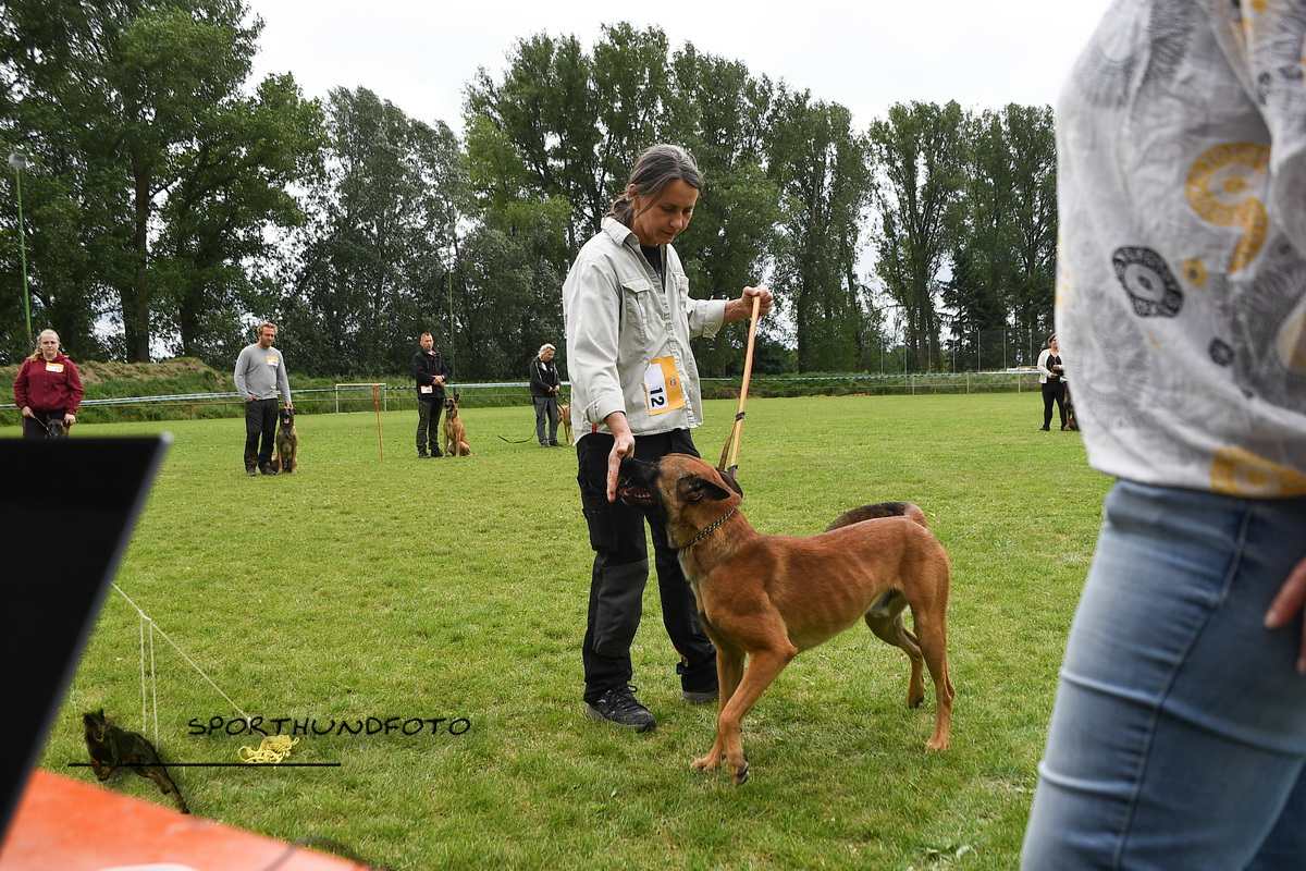 schau_257.jpg