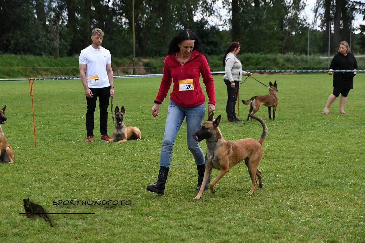 schau_379.jpg