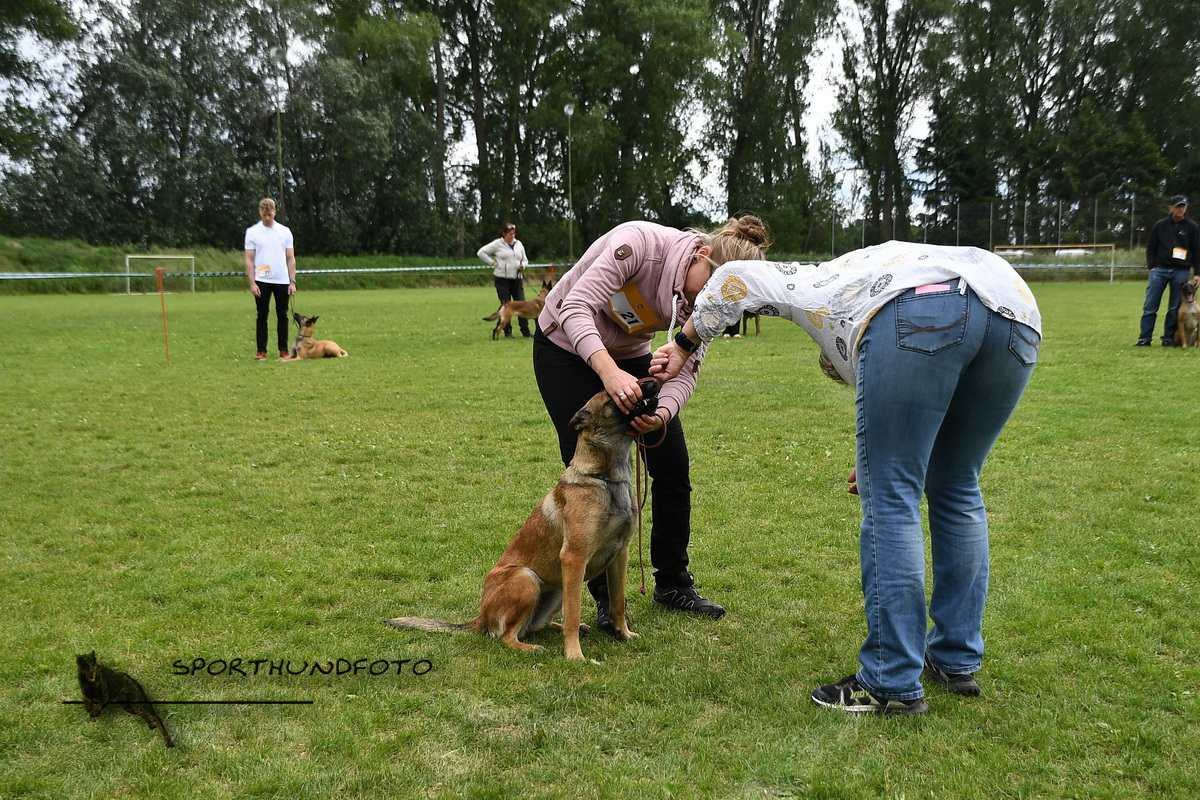 schau_387.jpg