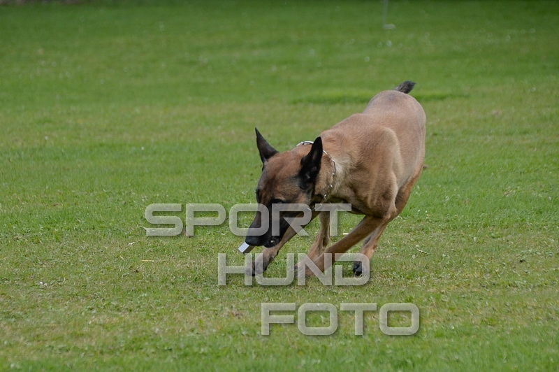SHF_0022.jpg