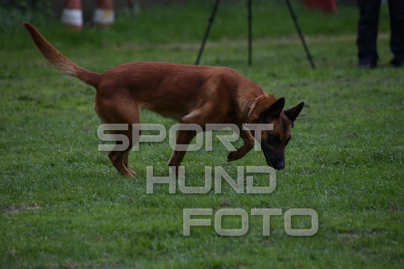 NIK_0015.jpg