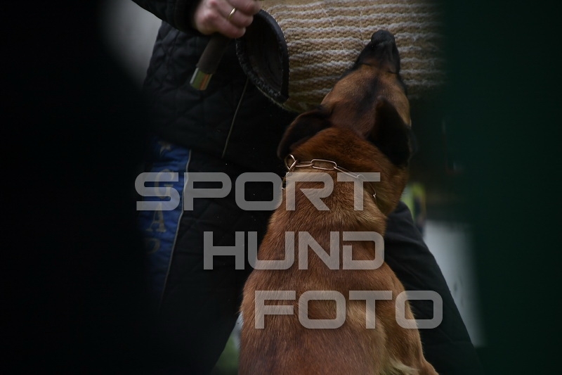 NIK_0048.jpg