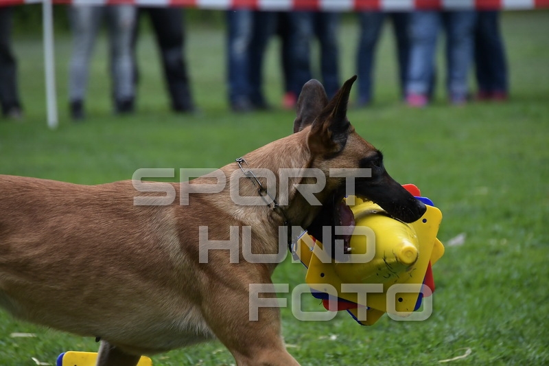 NIK_0236.jpg