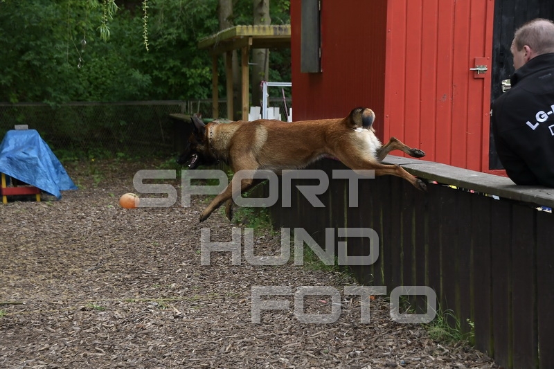 NIK_0879.jpg