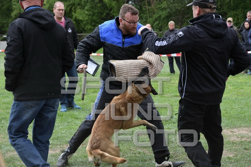NIK_1641.jpg