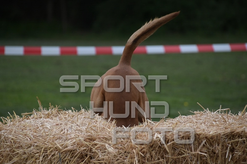 NIK_1919.jpg