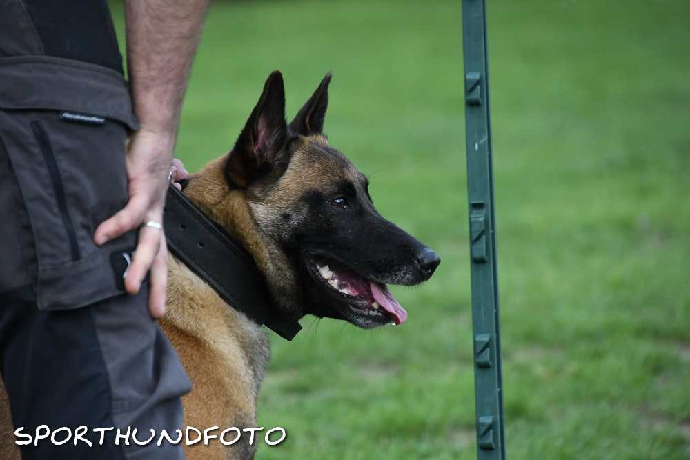 ztp_5-065.jpg