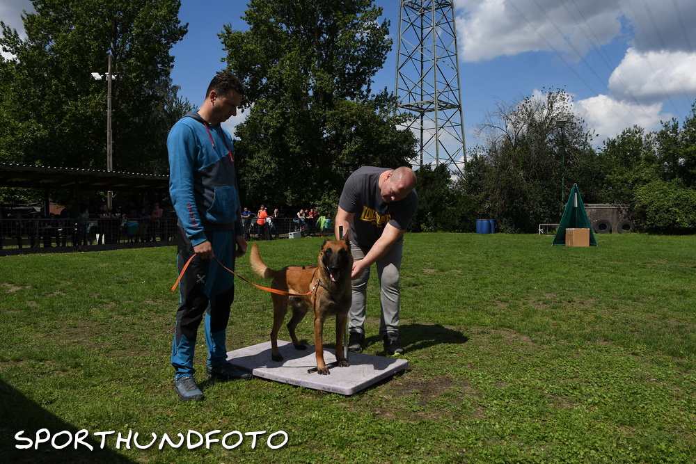 ztp_8-010.jpg