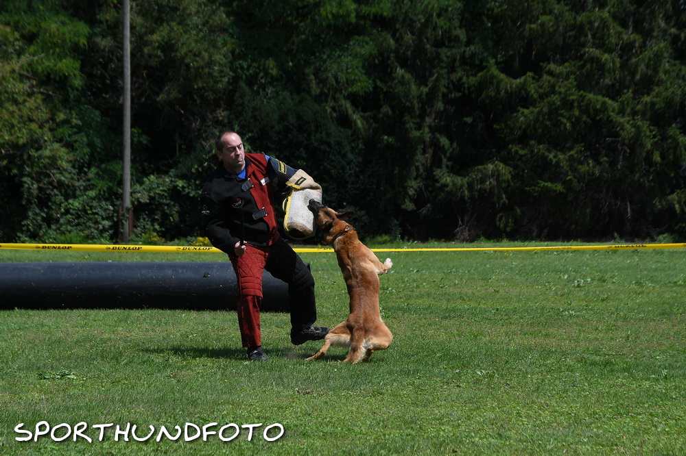 ztp_9-118.jpg