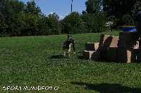 ztp_3-079.jpg