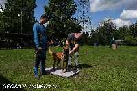 ztp_8-010.jpg