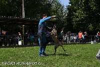 ztp_8-050.jpg