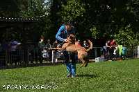 ztp_8-088.jpg