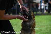 ztp_9-012.jpg