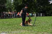 ztp_9-065.jpg