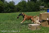 ztp_9-080.jpg