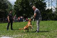 ztp_9-088.jpg