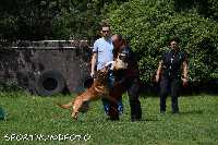 ztp_9-097.jpg