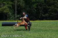 ztp_9-116.jpg