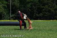 ztp_9-118.jpg