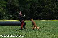 ztp_9-119.jpg