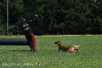 ztp_9-121.jpg