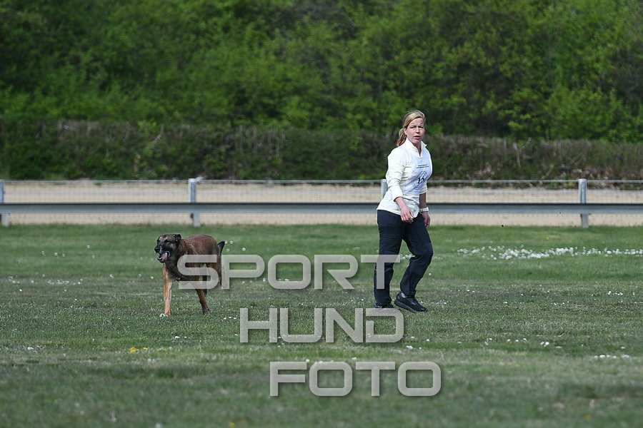 12_c_001.jpg