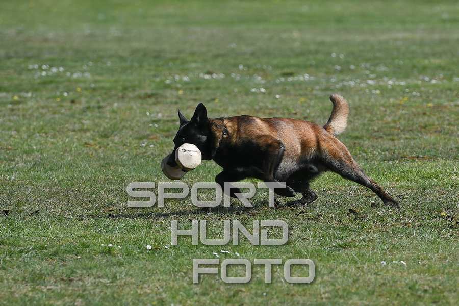 23_b_051.jpg