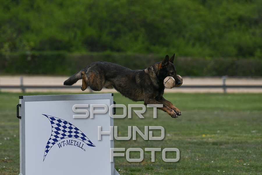 51_b_110.jpg