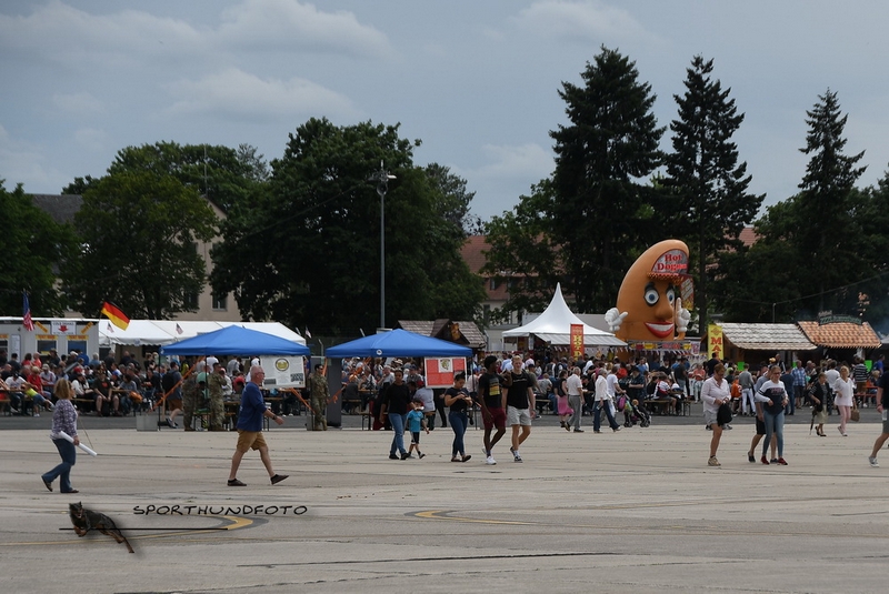 NI2_0840.jpg