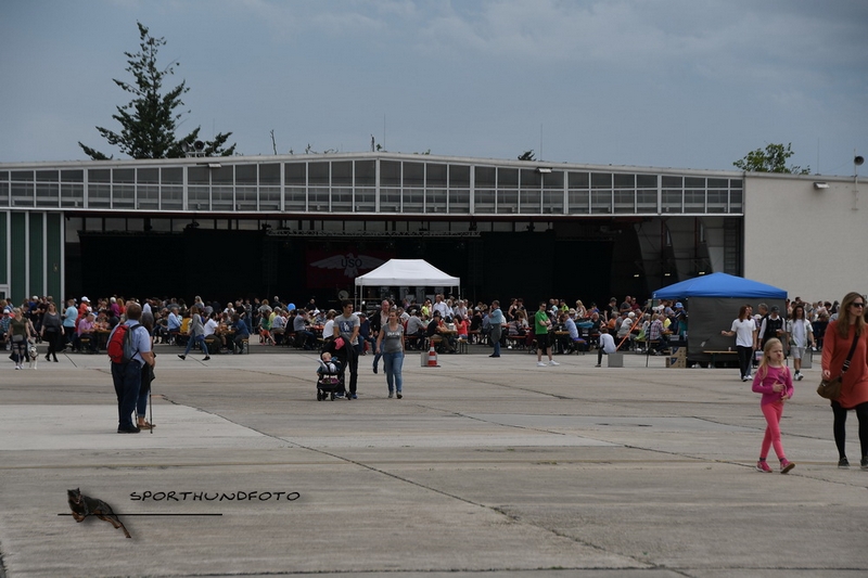 NI2_0841.jpg
