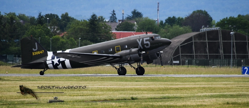 NI2_0866.jpg