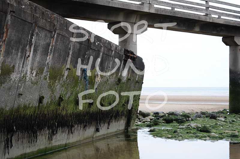 omaha_beach_12.jpg