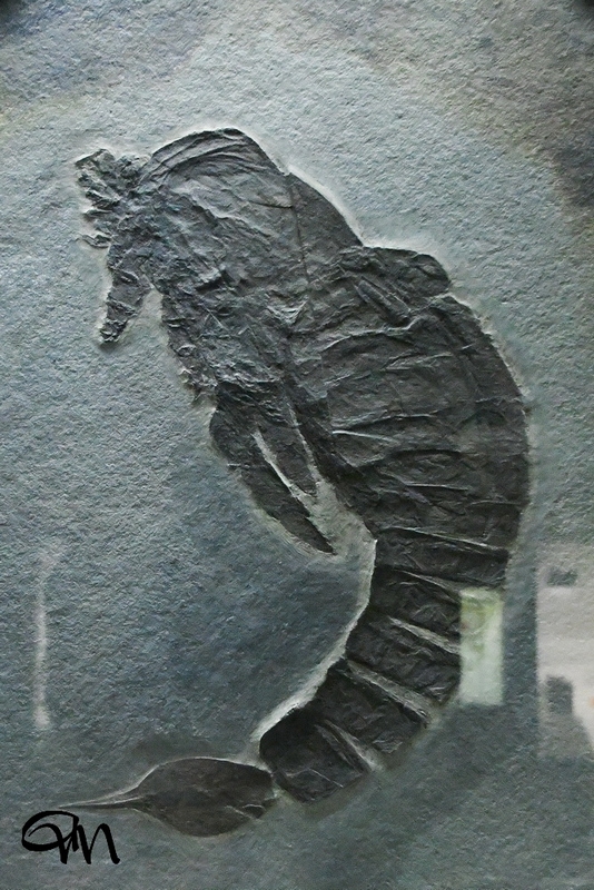NIK_0103.jpg