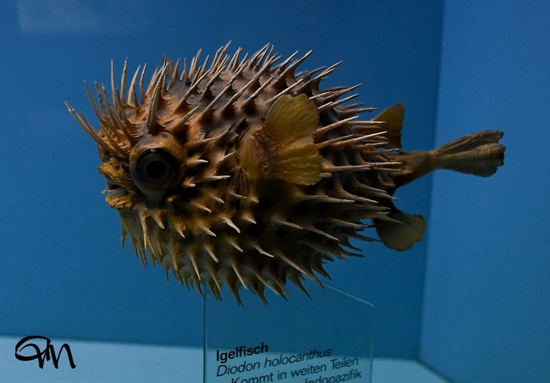 NIK_0307.jpg